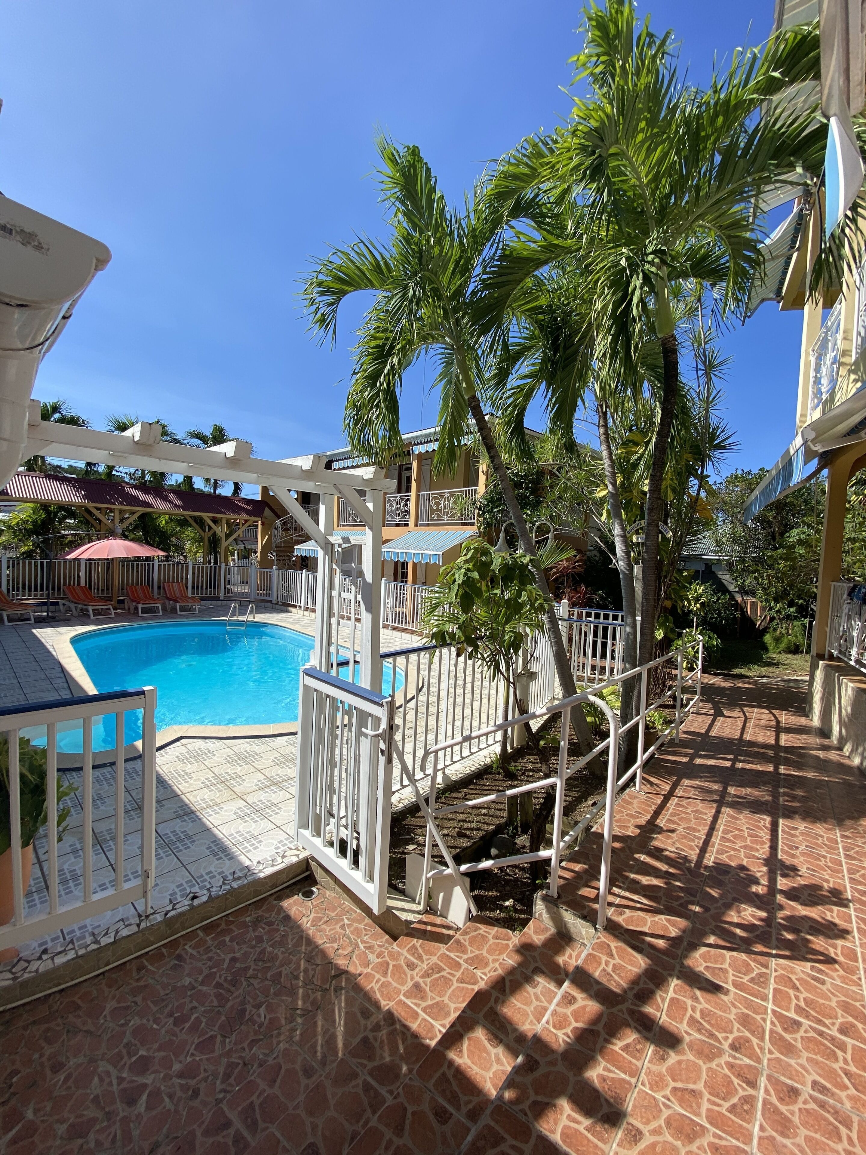 A swimming pool with a white deck, surrounded by palm trees and a covered seating area.