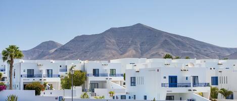 A coastal building with white walls and blue accents, surrounded by desert vegetation and a mountain in the background.
