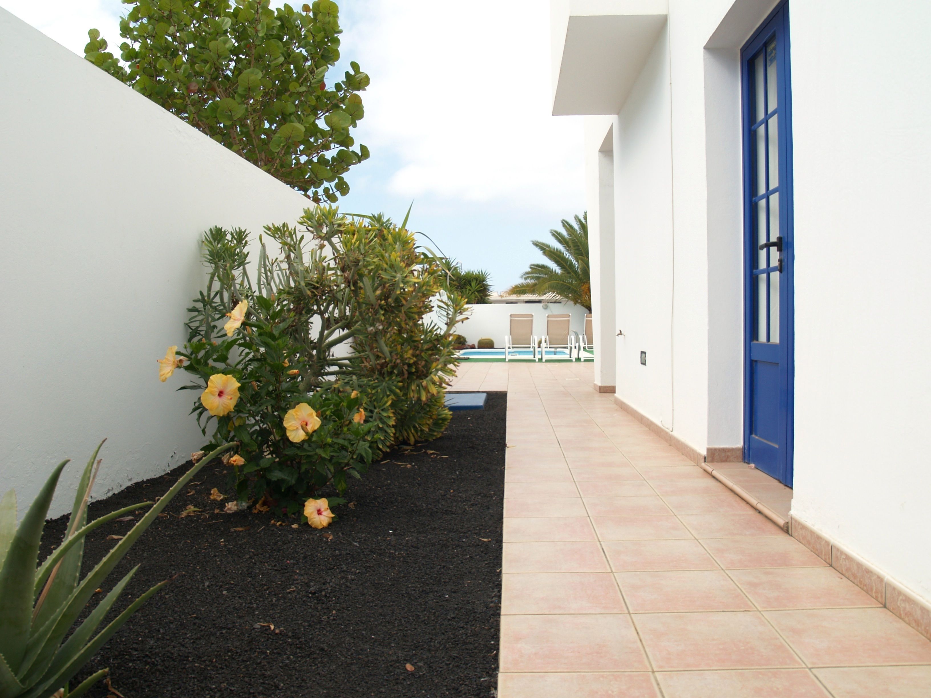 A narrow pathway leading to a building with a blue door, surrounded by greenery and a pool in the background.