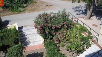 Vista da propriedade