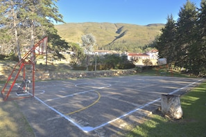 Pista de bàsquet