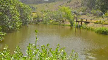 Un lac paisible avec un pont en bois, entouré d’une végétation luxuriante et dominé par des collines en arrière-plan.