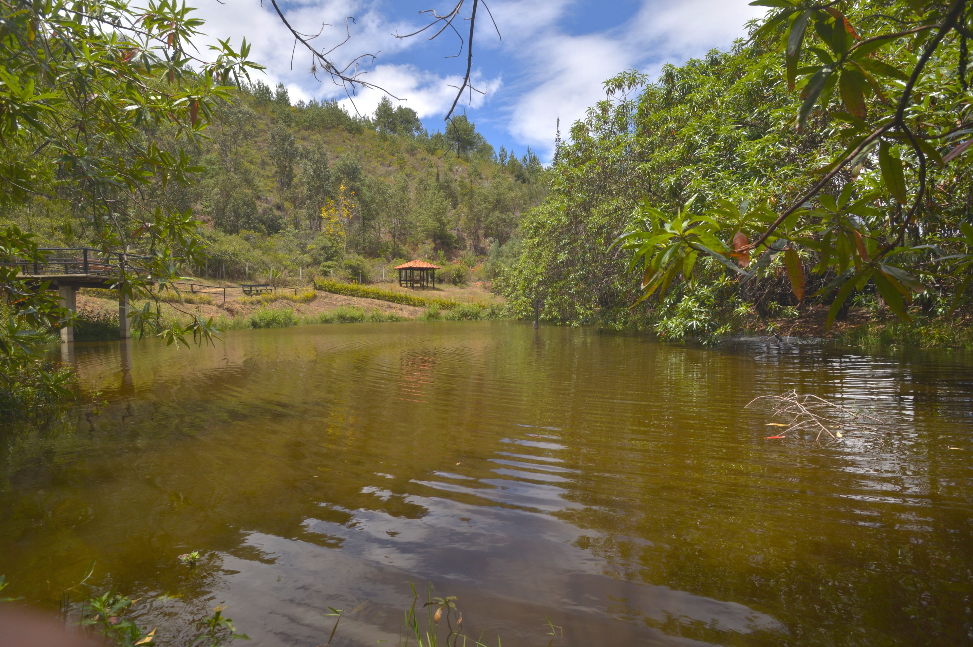 A serene lake with a wooden bridge and a gazebo.