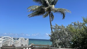 A wooden pier leading to a beach with a palm tree and a white fence.