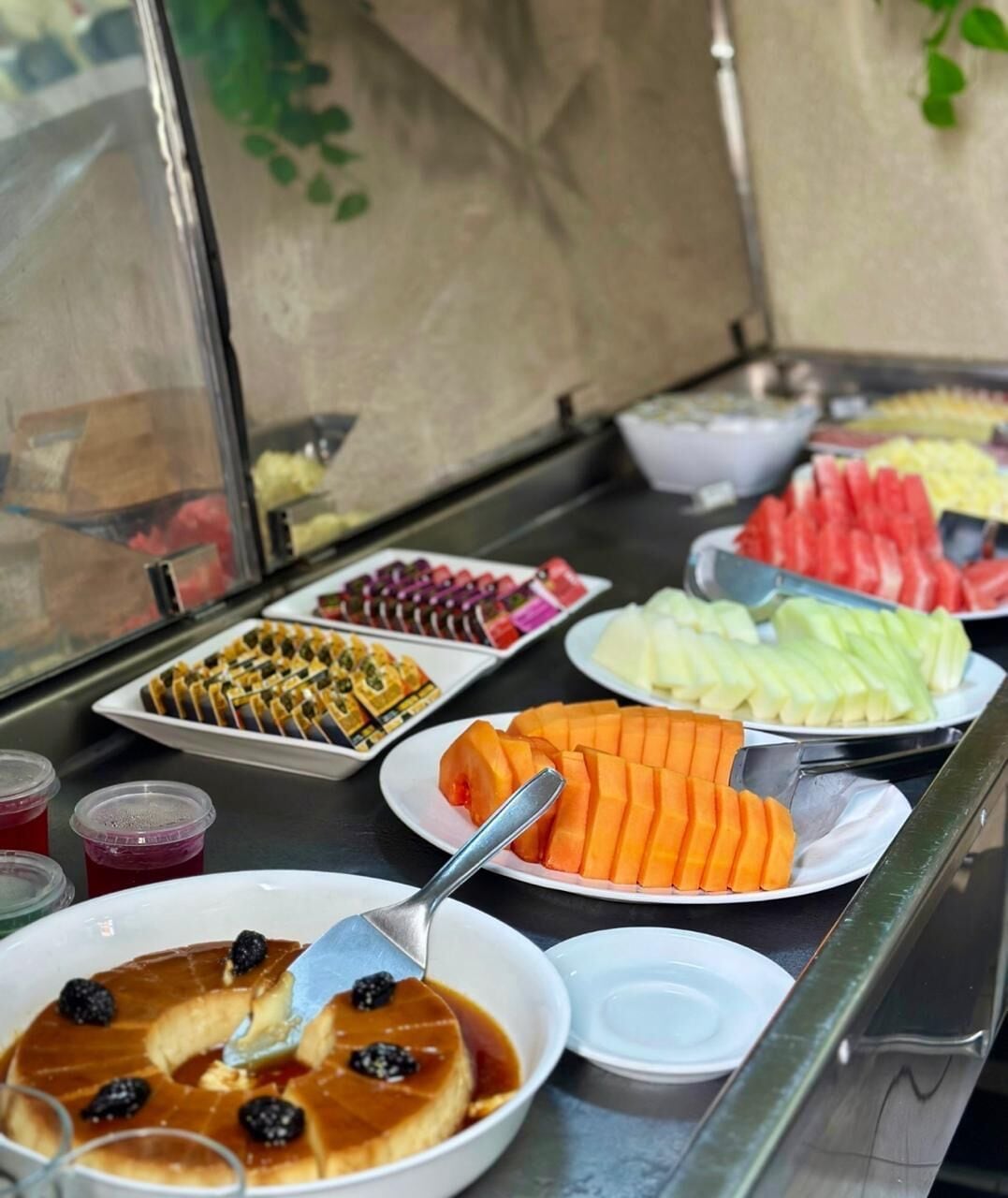 Foto - Hotel Pousada Alagoana