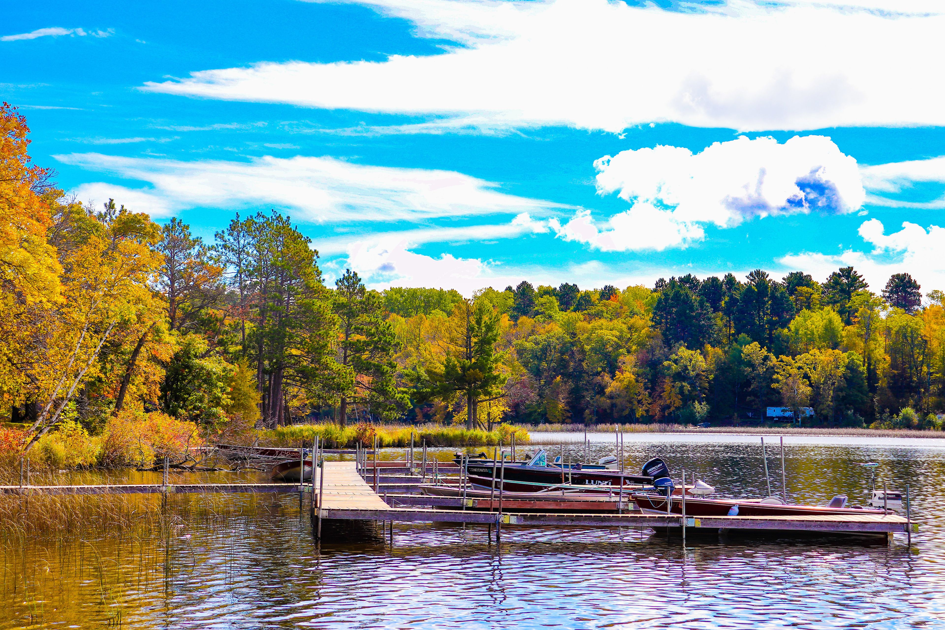 A dock with boats, surrounded by trees and a lake.