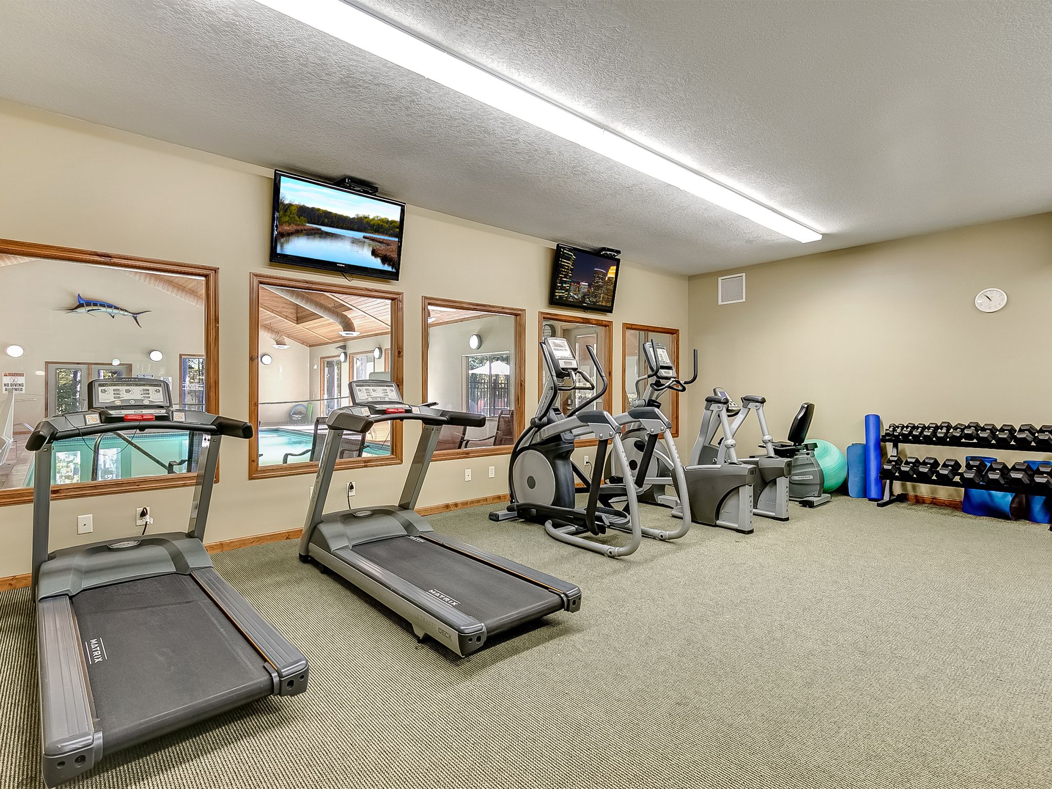 A gym with treadmills, elliptical machines, and weight equipment.