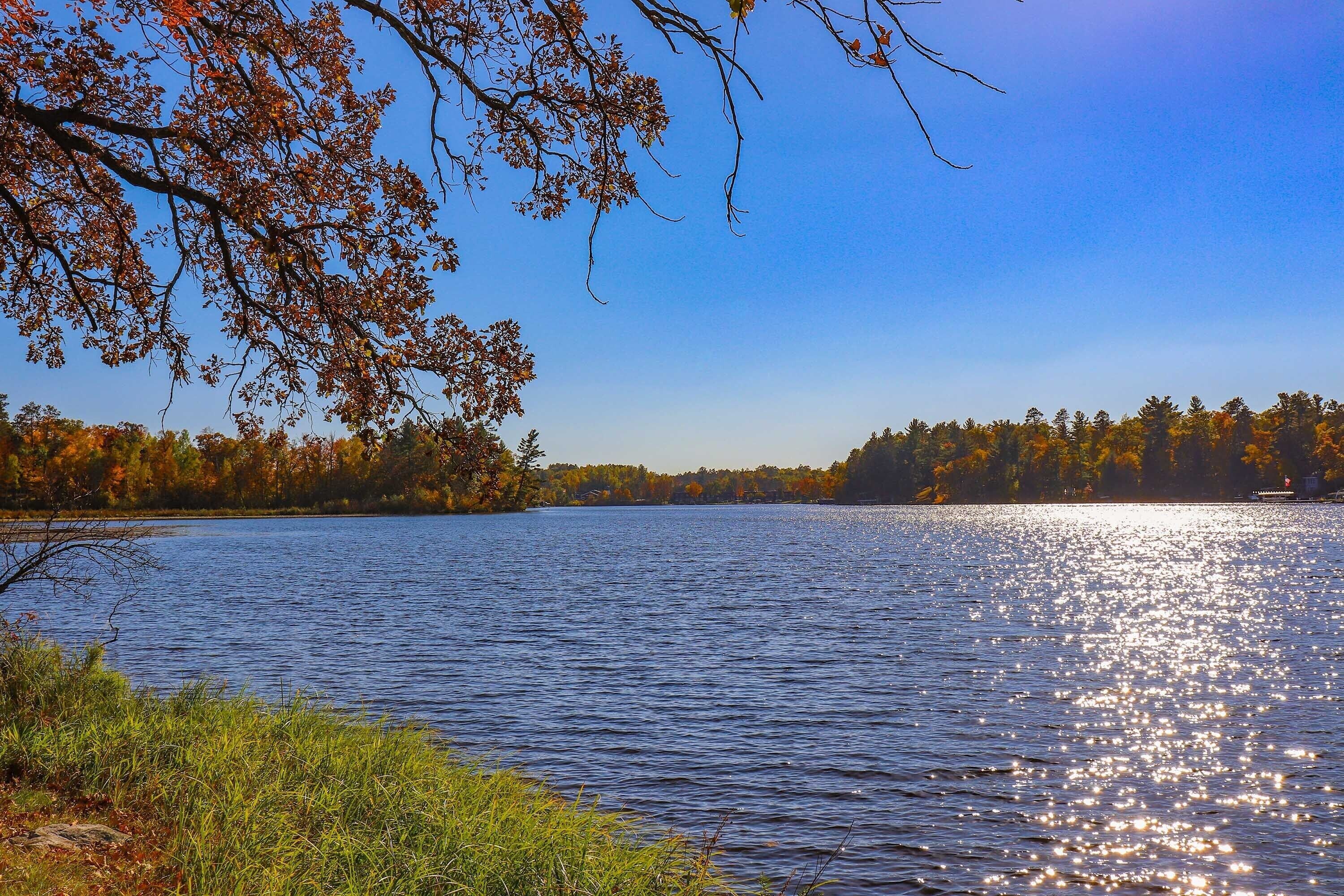 A calm lake with reflections of trees and a clear sky.