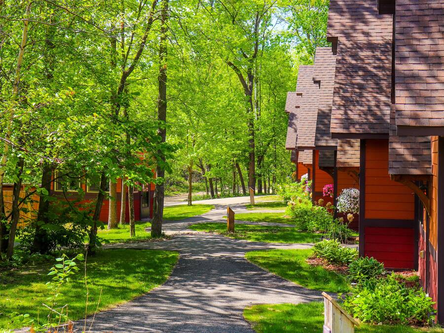 A pathway leading to a row of buildings with a green landscape and trees.