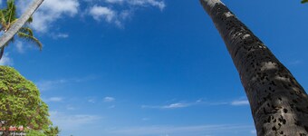 2 Bedroom Kauai Vacation Rental