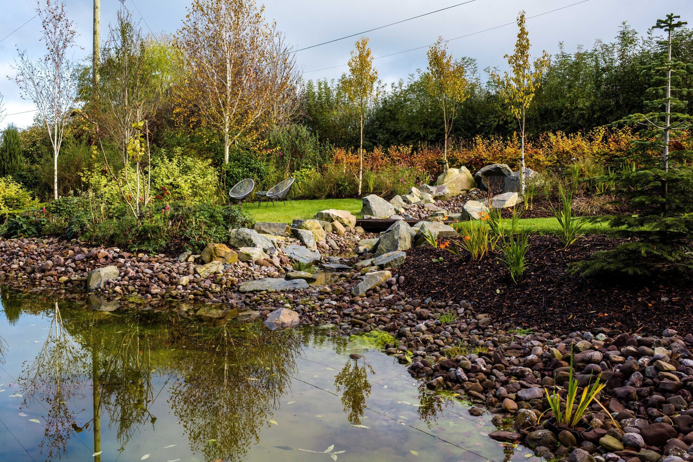 Un jardín con un estanque, rocas y árboles.
