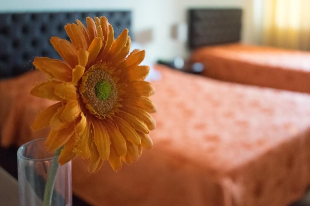 Photo - Hostal Solari