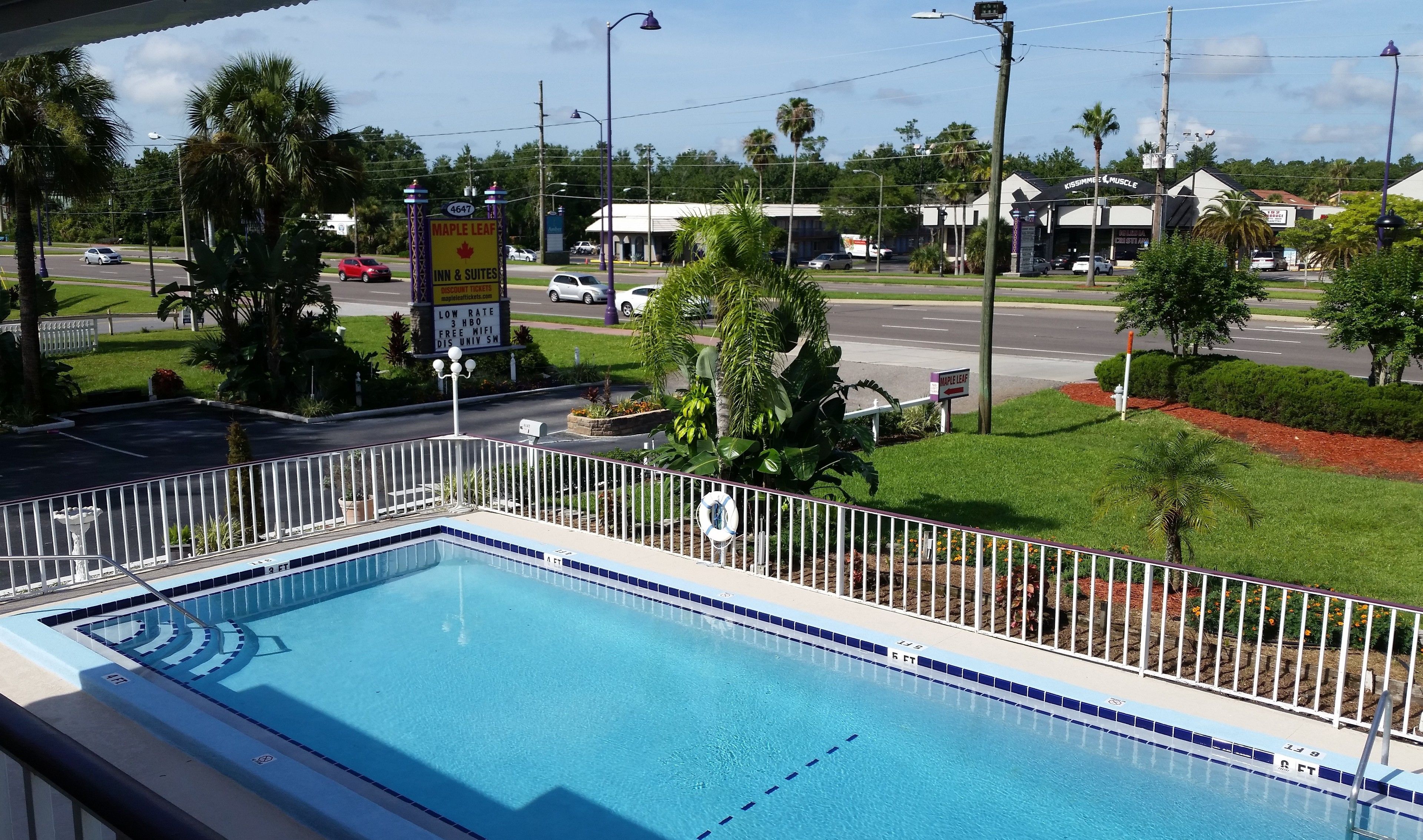 A swimming pool with a white fence, surrounded by greenery and palm trees.