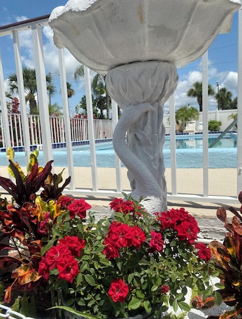 Outdoor pool. Maple Leaf Inn & Suites