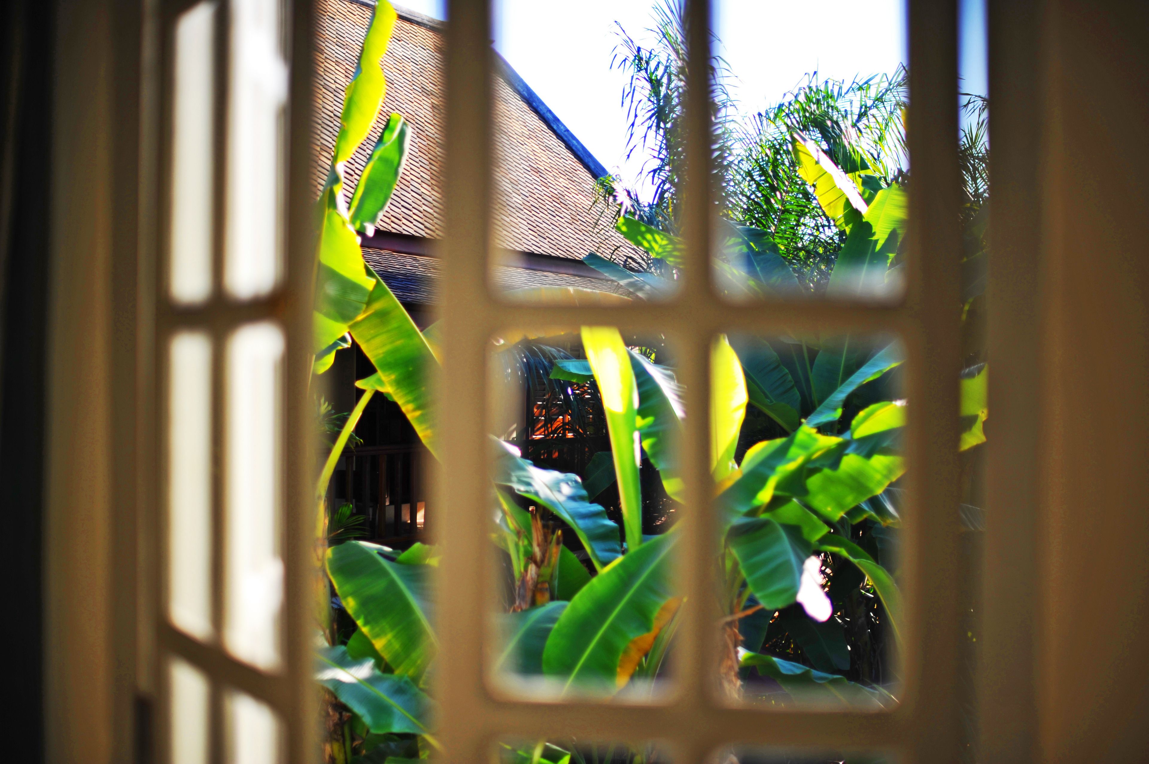 Habitació quàdruple | Vista des de l'habitació