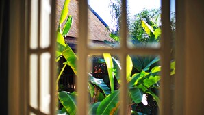 Vista a través de una ventana con marco de madera, que muestra una casa con techo de tejas y exuberante follaje verde.