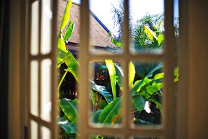 Orchid Suites | Ausblick vom Zimmer