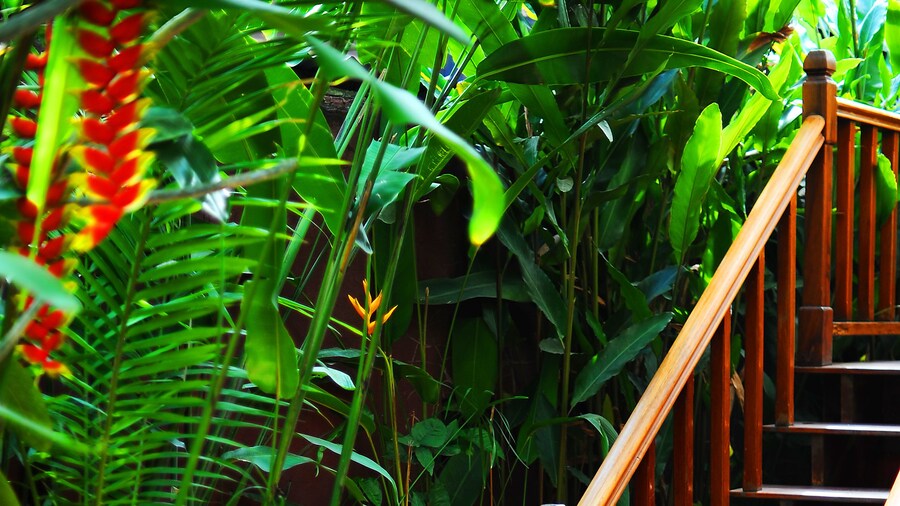 Lotus Villa Boutique Hotel