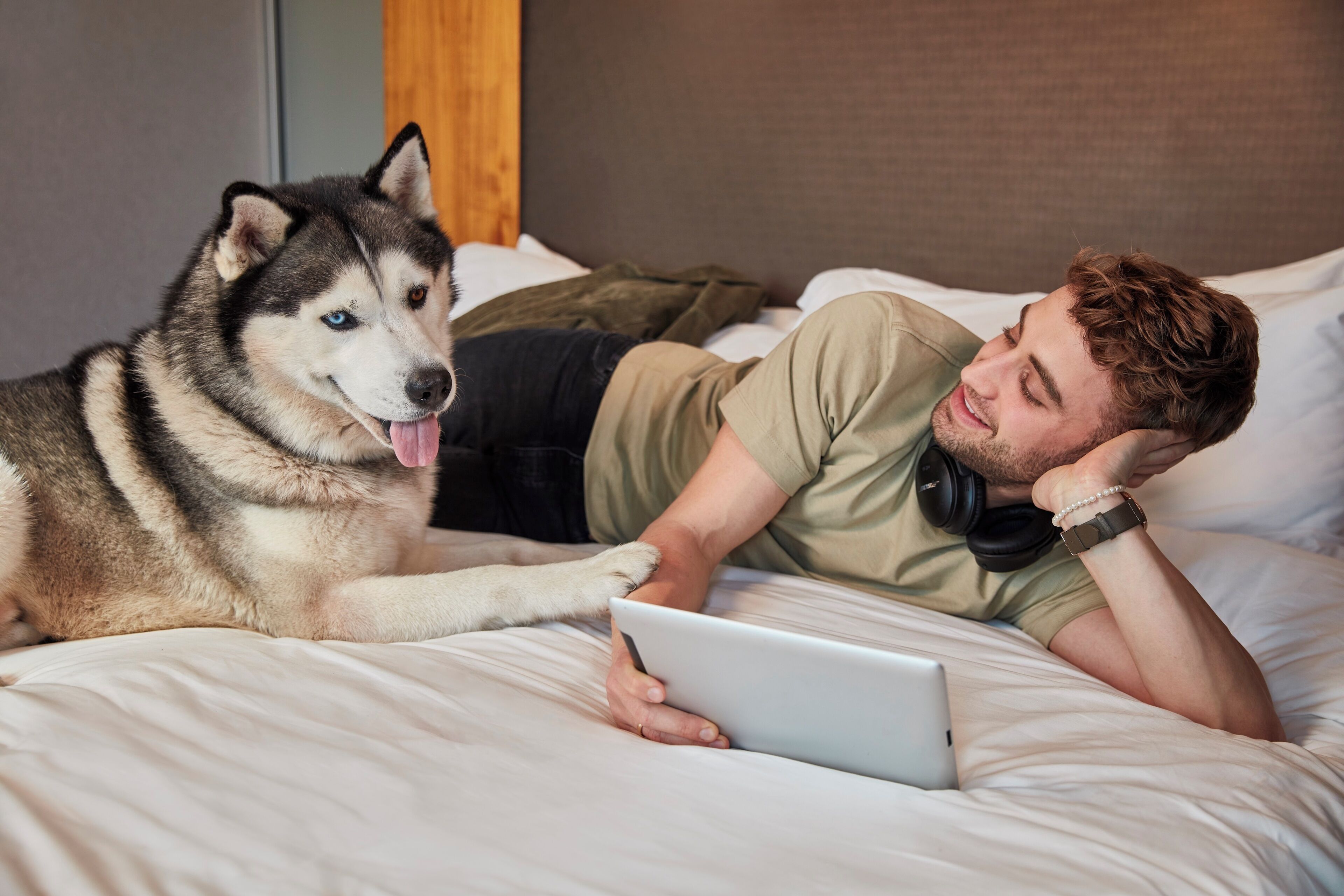 Una persona acostada en una cama con un perro, usando una tableta.