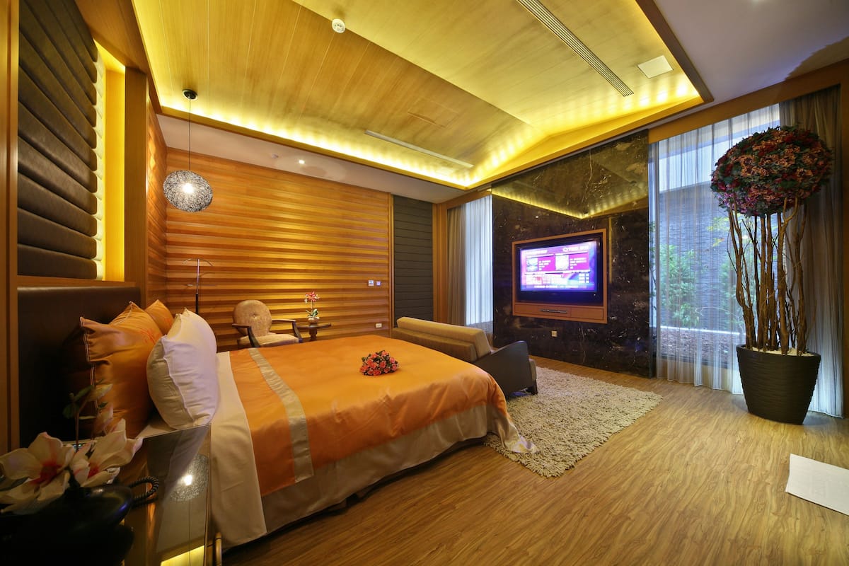 A modern hotel room with a large bed, a TV, a potted plant, and a view of the outdoors.