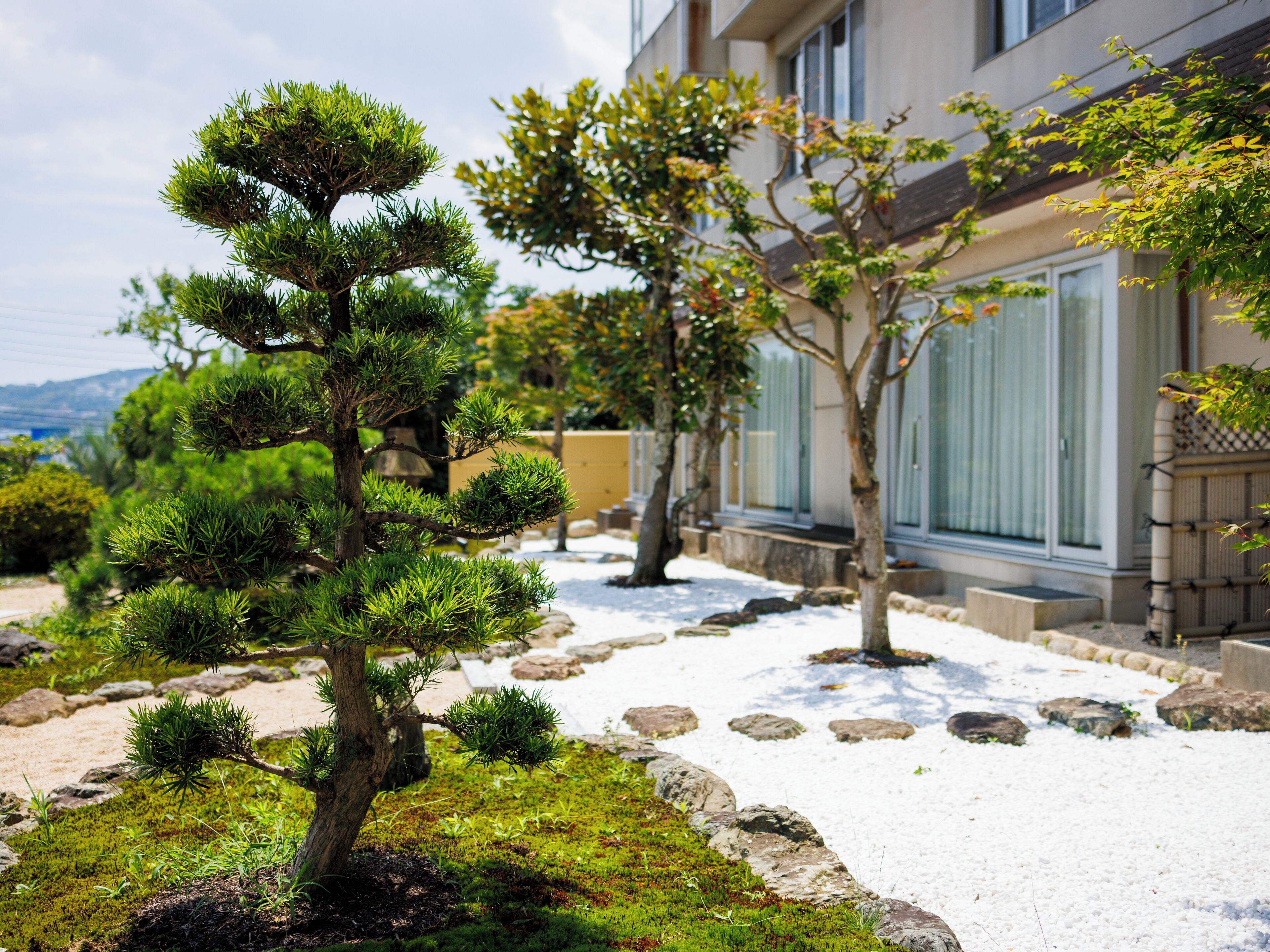 A well-maintained garden with a variety of trees, including a prominent bonsai, and a stone pathway.