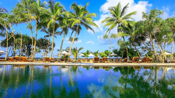 A poolside area with lounge chairs and umbrellas, surrounded by palm trees and a clear blue sky. - Pandanus Beach Resort & Spa (Induruwa)