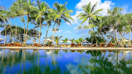 Outdoor pool, sun loungers