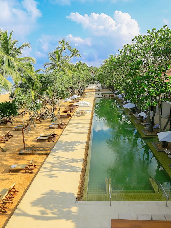 Relax by the tranquil pool surrounded by lush greenery and palm trees, with lounge chairs and umbrellas providing shaded seating areas.