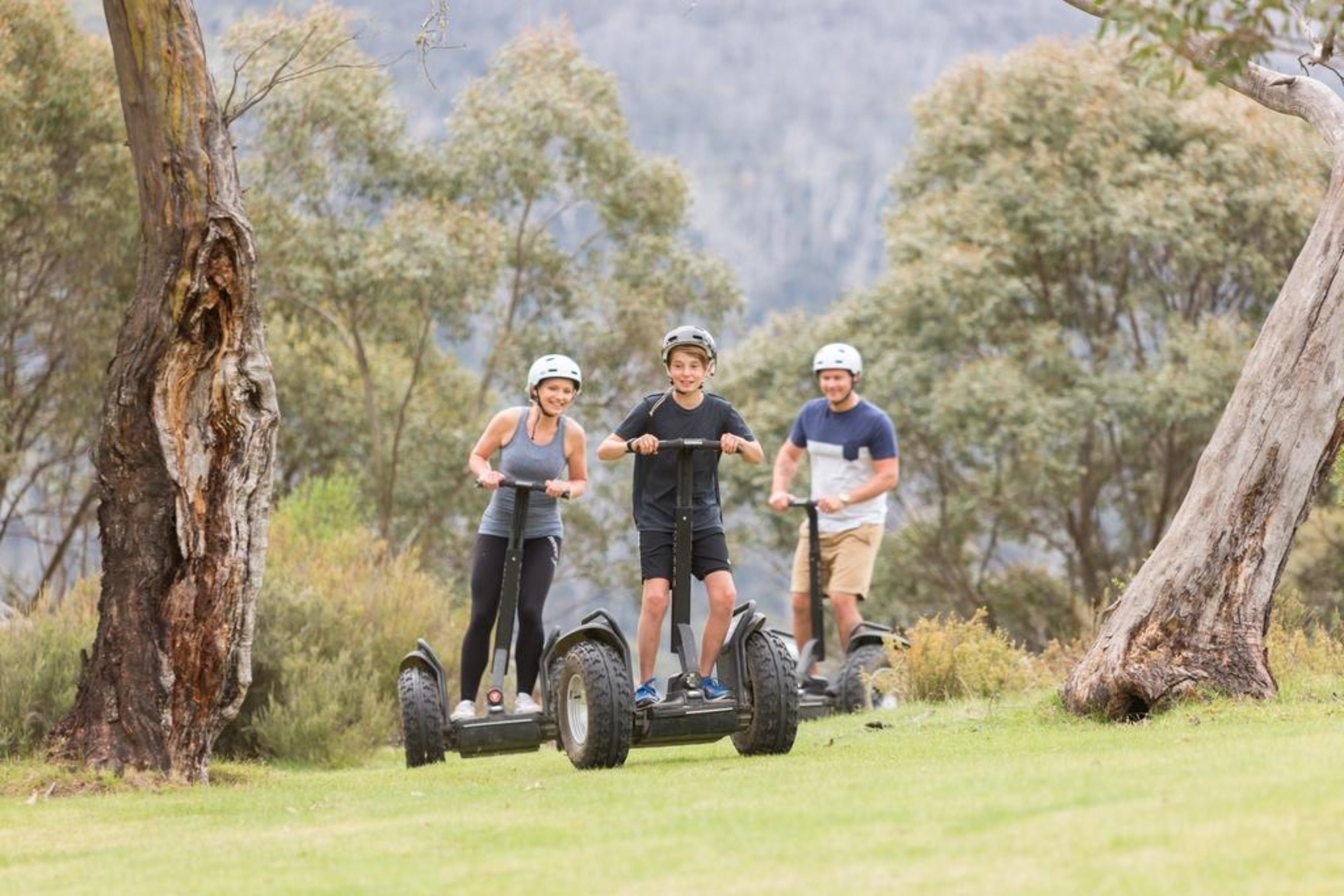 Three people riding Segways on a grassy area with trees and a large tree trunk in the foreground.