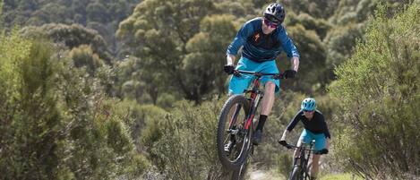 Two cyclists on a mountain bike trail surrounded by dense vegetation.