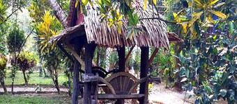 Tree Top River Huts