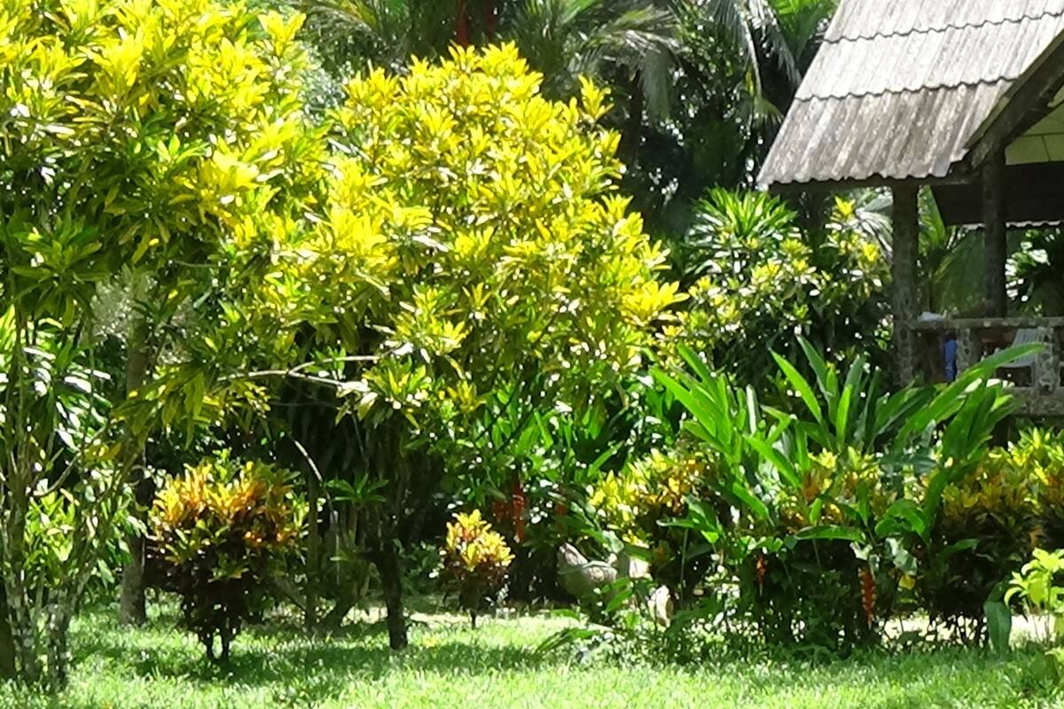  Family Bungalow, 2 Double Beds (Air-Con)  | Garden view