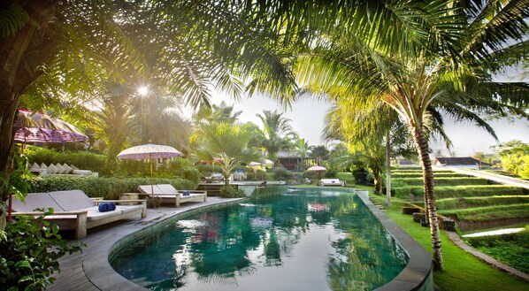 Piscine extérieure, parasols de plage, chaises longues
