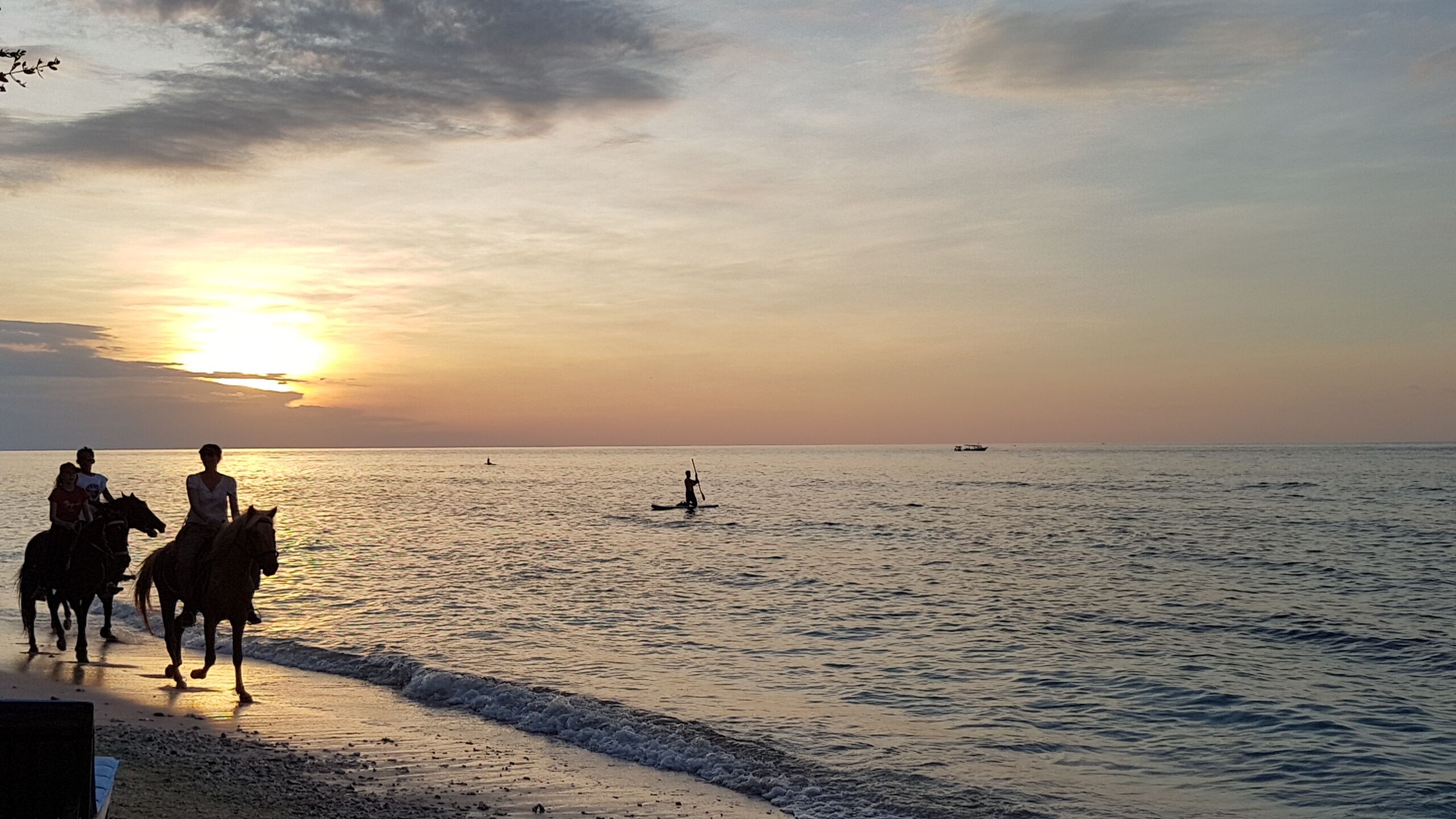 A beach scene with a sunset, horses, and a person paddling.