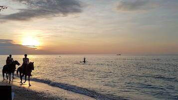 A beach scene with a sunset, horses, and a person paddling.