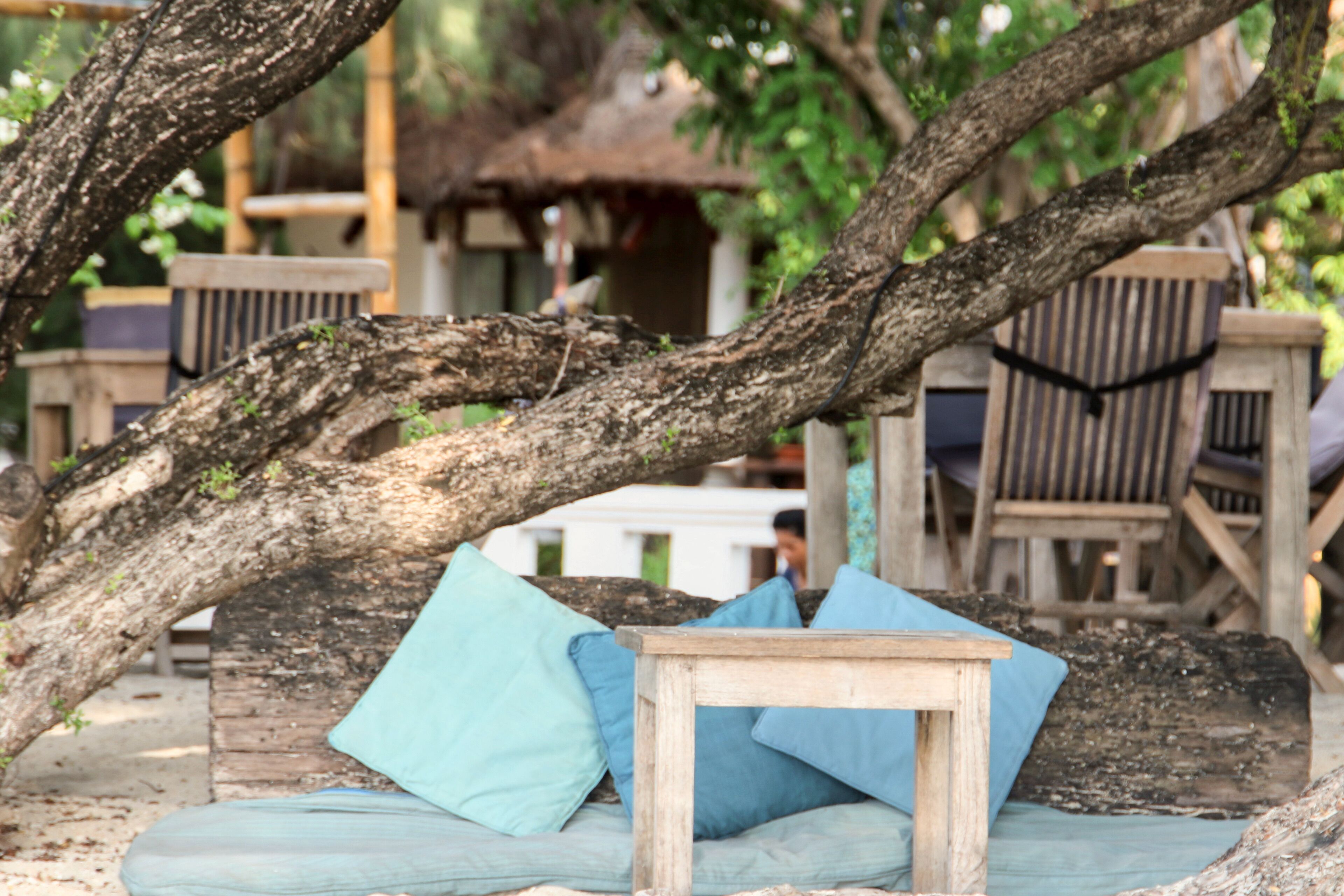 A wooden bench with cushions under a tree, surrounded by wooden furniture and a rustic building in the background.