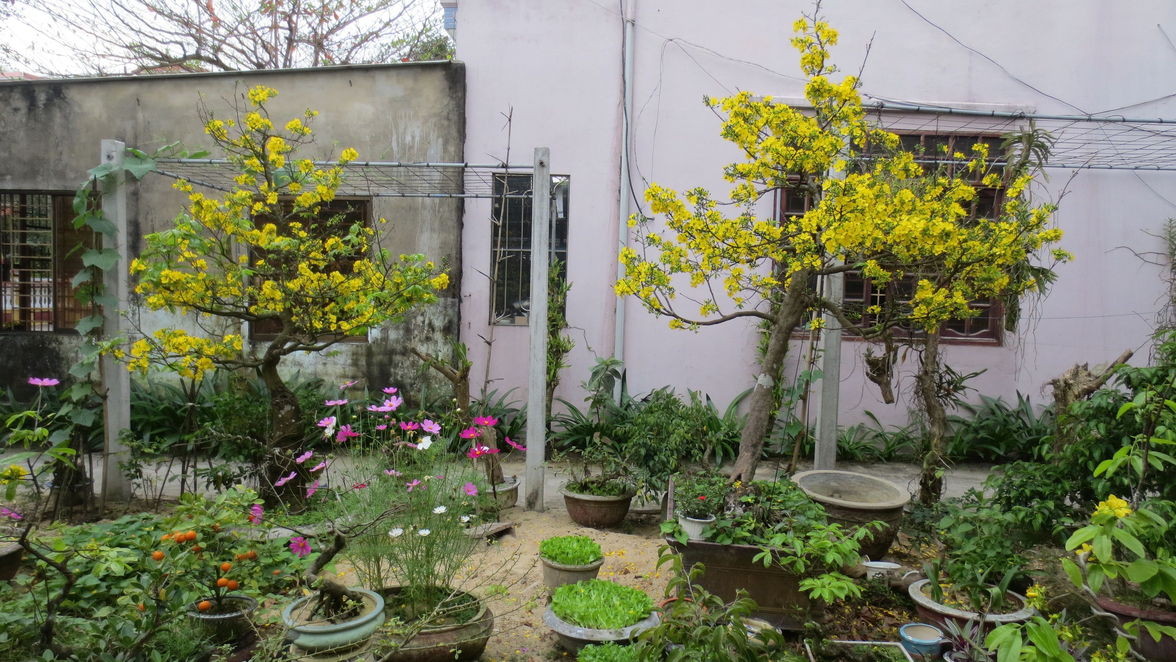 Foto - Charming Homestay