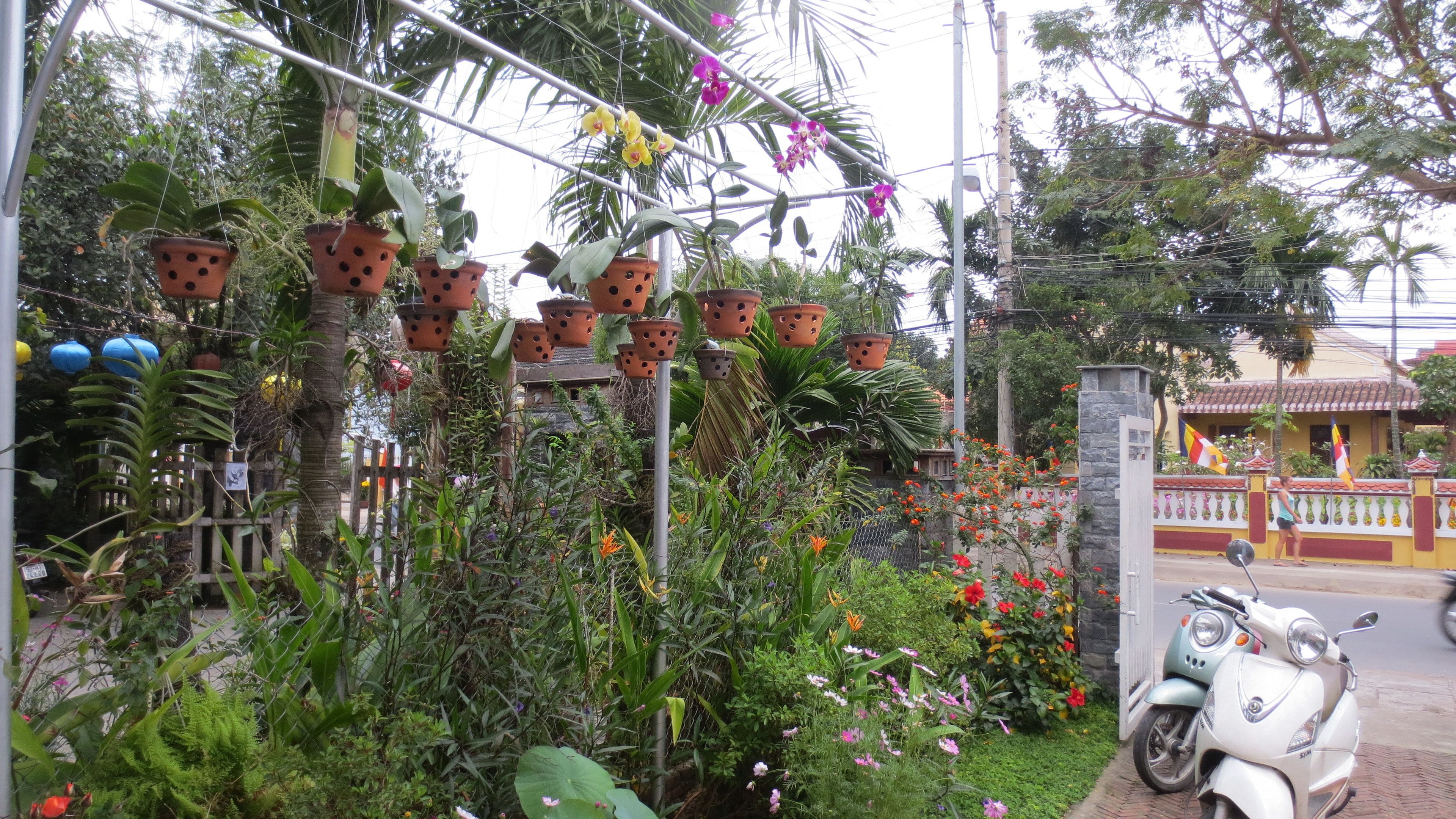 Foto - Charming Homestay