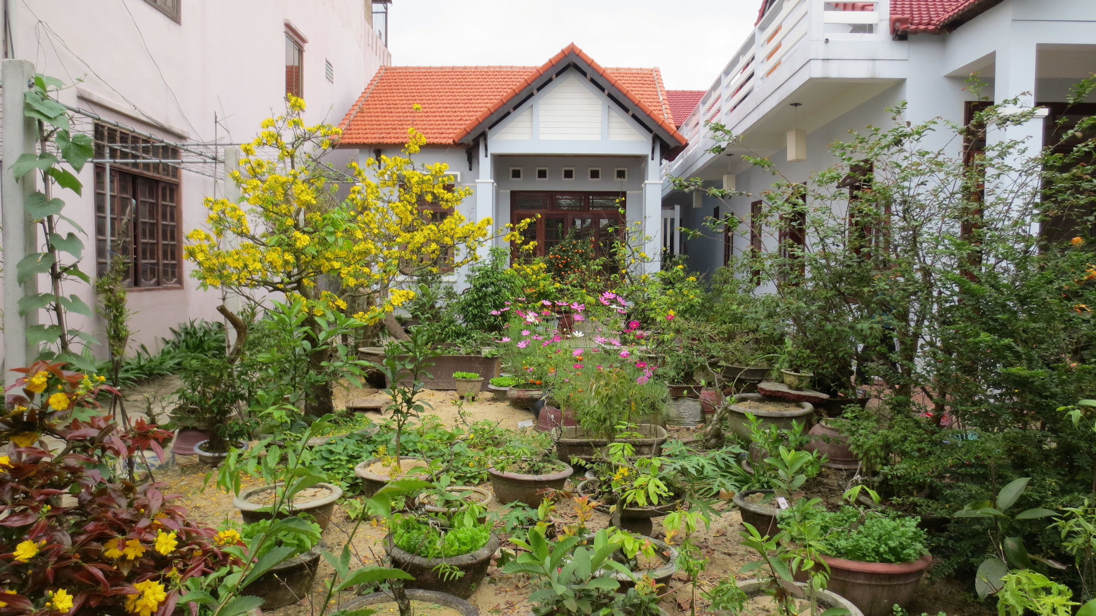 Foto - Charming Homestay