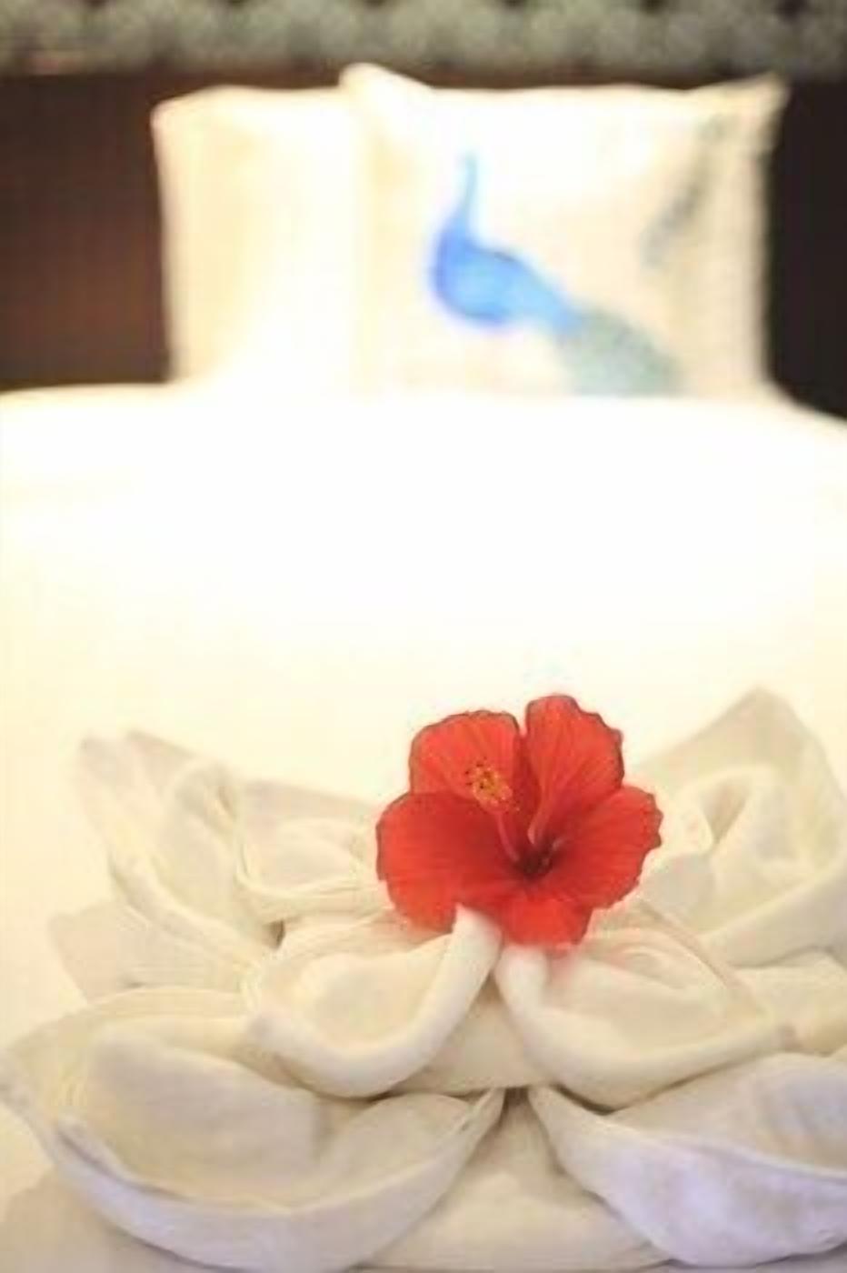 Een kluis op de kamer, verduisterende gordijnen, gratis wifi, beddengoed