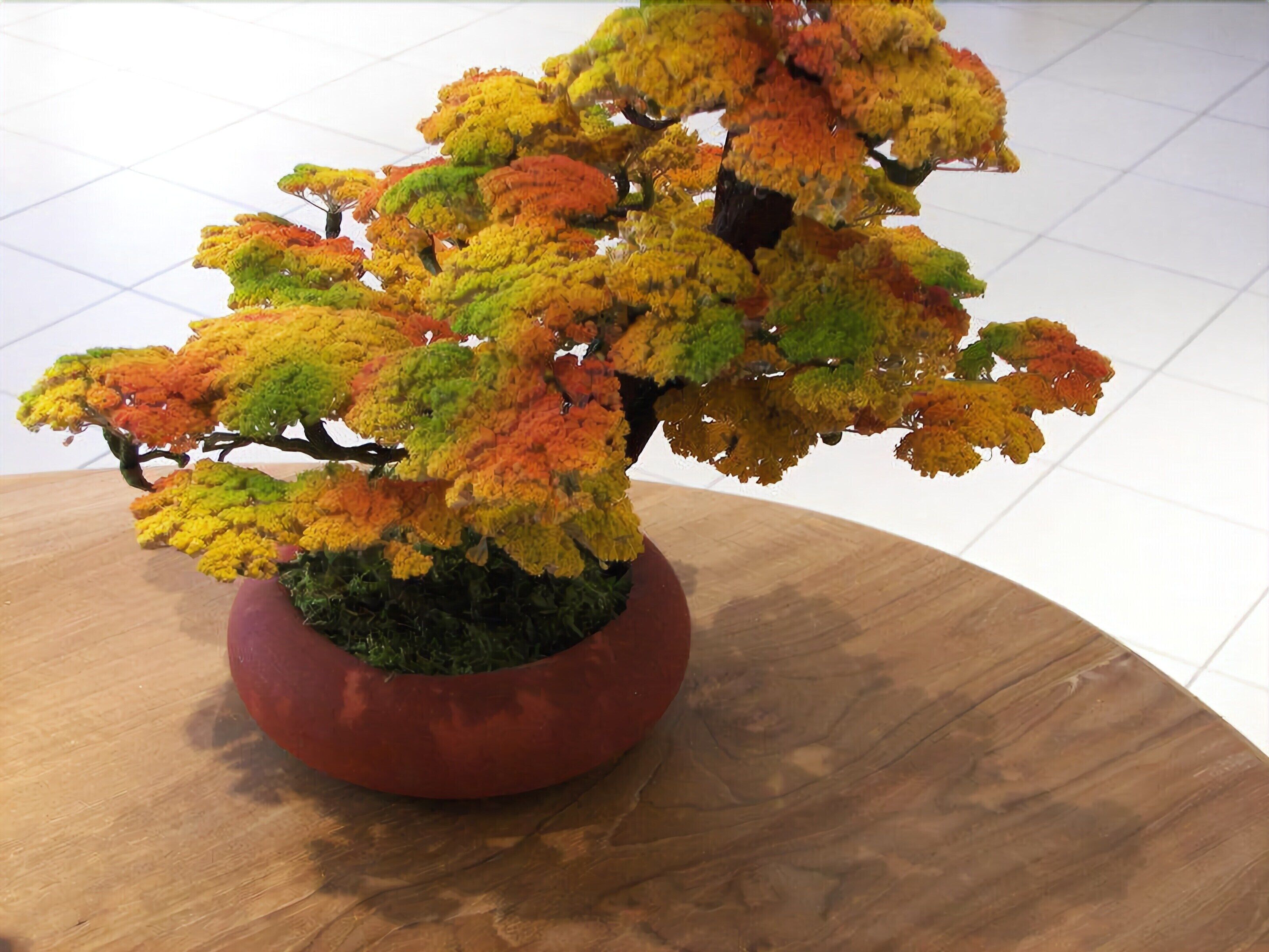 Una planta en maceta con un tiesto rojo sobre una mesa de madera.