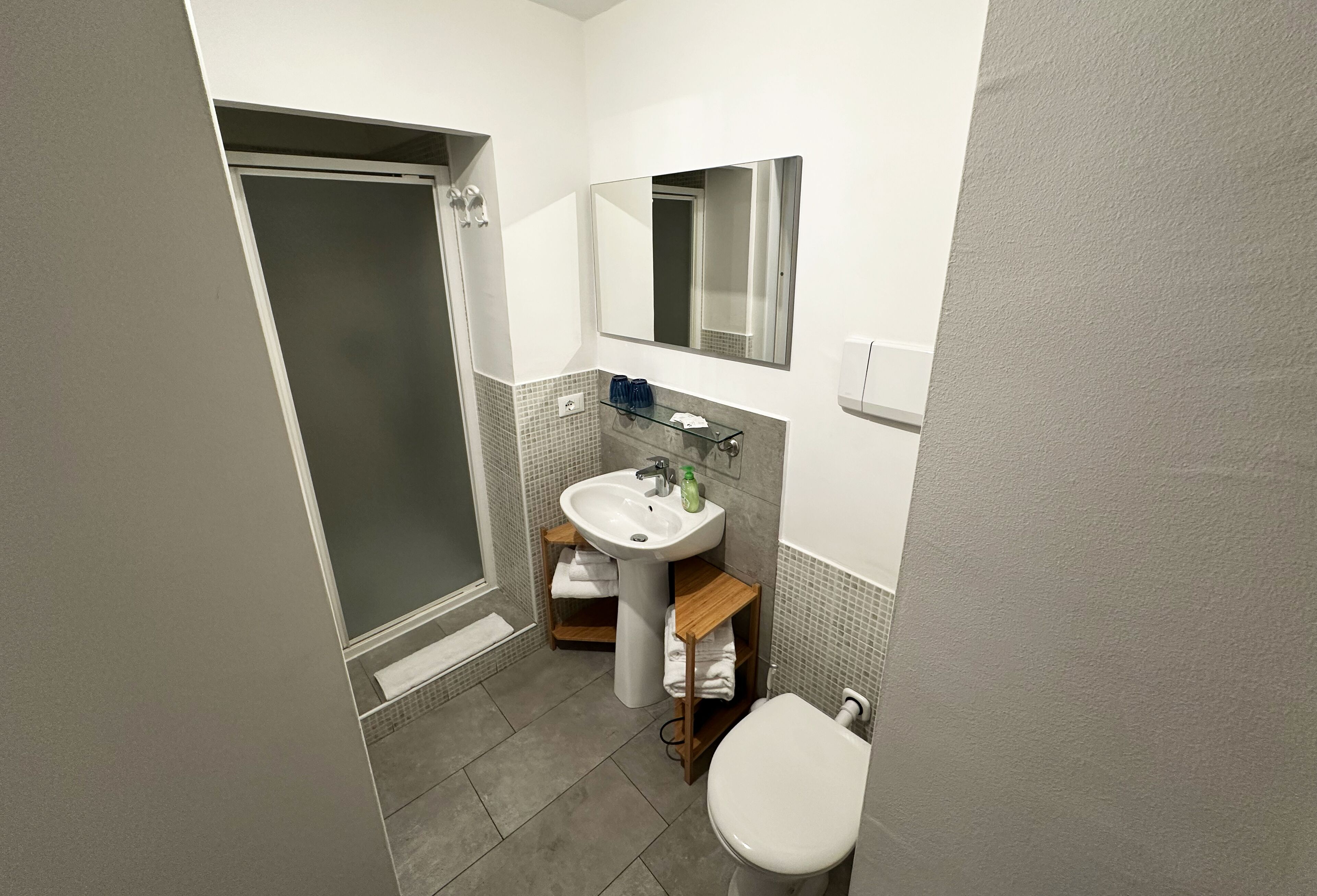 Standard-Doppelzimmer, 1 Queen-Bett, eigenes Bad | Badezimmer | Dusche, Haartrockner, Handtücher