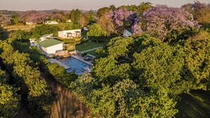Vista aerea di una zona residenziale con piscina, circondata da vegetazione lussureggiante e alberi in fiore.