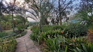 Un vialetto fiorito, con diverse piante e alberi.