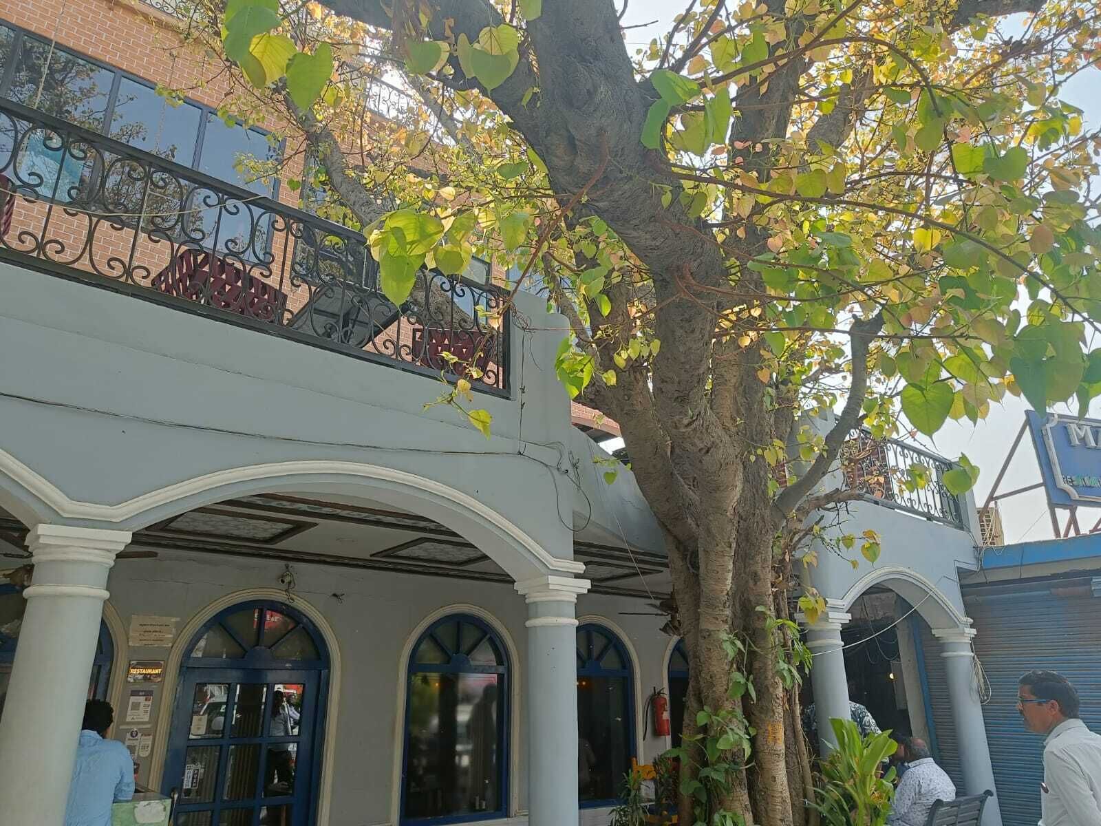 Fachada del alojamiento