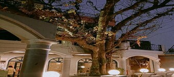 Maya Hotel & Restaurant