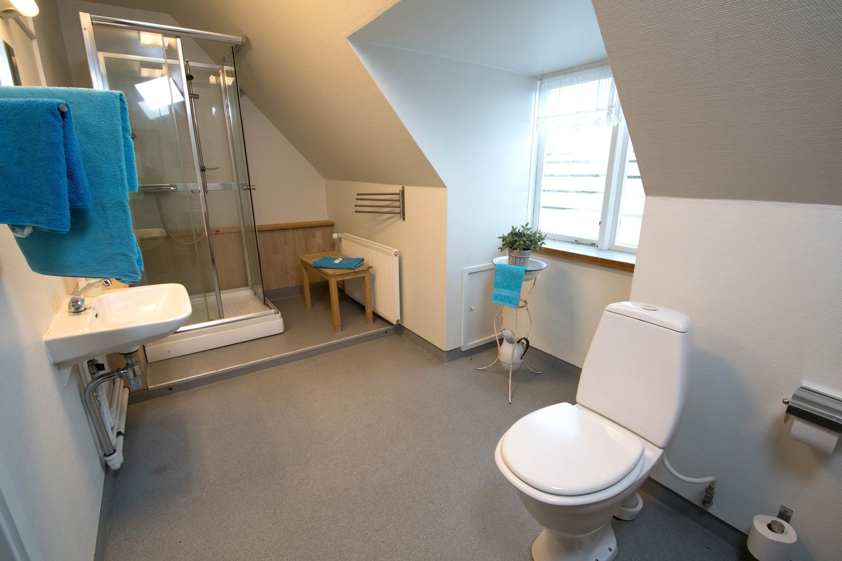 Een badkamer met douche, wastafel, toilet en een klein tafeltje met een plant.