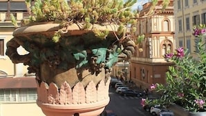 A terracotta pot with plants on a balcony overlooking a street with parked cars and buildings. - The Roma House (Rome)