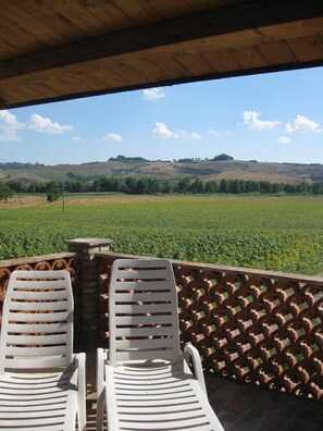 View from room - Agriturismo Le Spighe (Proceno)