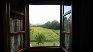 A window with a view of a vineyard. - Agriturismo Le Spighe (Proceno)
